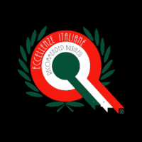 Italy Italia GIF by Eccellenze Italiane