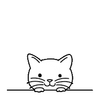 confused cat Sticker