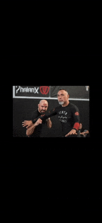 Ufc Legends GIF by The Hive MMA