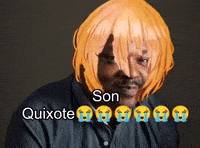 Don Quixote Son GIF