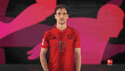 Well Done Bayern GIF by Bundesliga