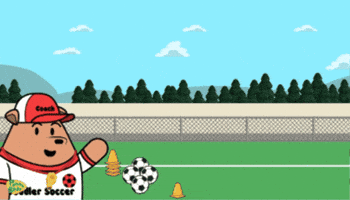 World Cup Football GIF