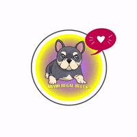 Miamiregalblues frenchie bully french bulldog frenchbulldog GIF