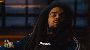 Bob Marley Reggae GIF by Bob Marley: One Love