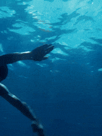 Italy Bianca GIF by CATTURAProduction