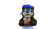Basketball Highlander Sticker by UCRSRC