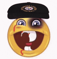 Pittsburgh Steelers GIF by Respective