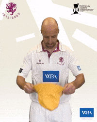 England Cricket GIF by Somerset County Cricket Club