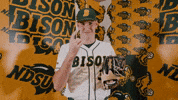 Baseball Bison GIF by NDSU Athletics