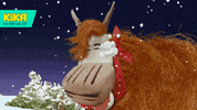 snow winter GIF by KiKA