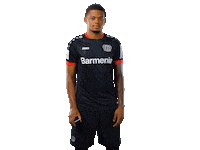 Bayer 04 Smartphone Sticker by Bayer 04 Leverkusen