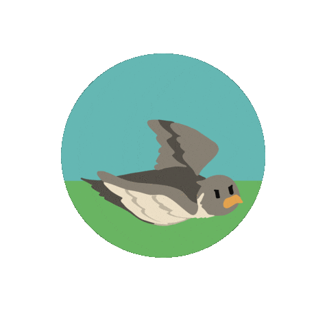 LioxFoundation giphyupload falcon hermes liox foundation Sticker