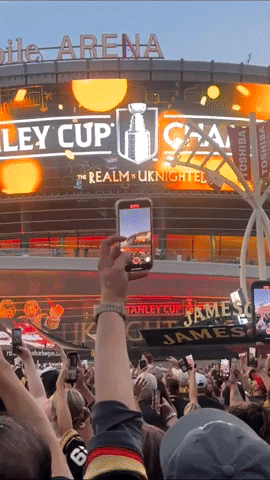 Celebrate Stanley Cup GIF by Storyful