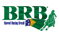 barrelracing brbcollection Sticker