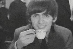 audreymcgowenpeacock giphyupload GIF