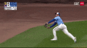 Chicago Cubs Sport GIF by MLB