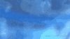 GIF by KQEDScience