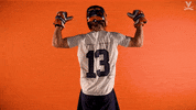 Uvamenslax GIF by Virginia Athletics