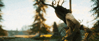 Fantasy Raven GIF by Systemic Reaction