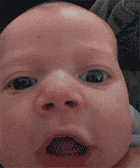Tik Tok Baby GIF