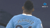 Premier League Football GIF by MolaTV