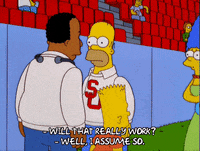 homer simpson football GIF