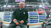 hockey canes GIF by Carolina Hurricanes