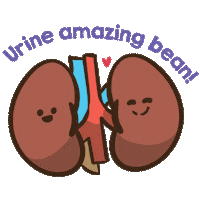 LivingBank bean beans kidney beans living bank Sticker