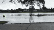 Chilling Go With The Flow GIF by Wind Sun Sky Entertainment