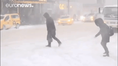 Snow Storm GIF by euronews