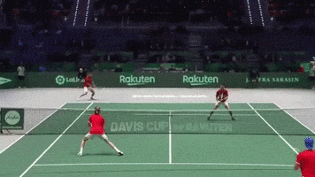 Davis Cup Sport GIF by Davis Cup by Rakuten Finals