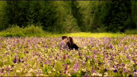 bella and edward GIF