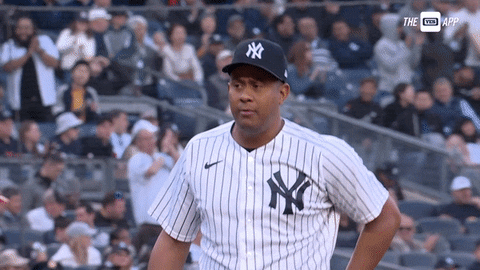 Excited New York Yankees GIF by YES Network