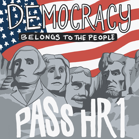 We The People Democrat GIF by Creative Courage