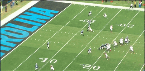 panthers coleman GIF