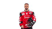 Sport Celebration Sticker by HDD SIJ Acroni Jesenice