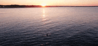 rhode island newport GIF