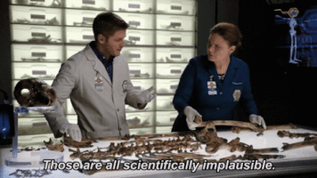 bonesonfox GIF by Bones