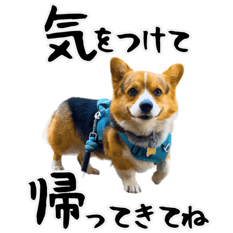 Corgi Milo Sticker