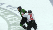 BinghamtonBlackBears binghamton black bears fphl black bears hockey GIF