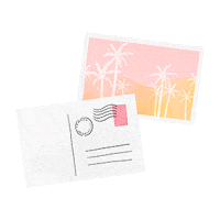 Palm Trees Summer Sticker