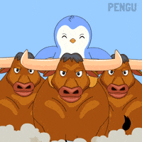 Lets Go Crypto GIF by Pudgy Penguins