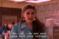 season 2 GIF by Twin Peaks on Showtime