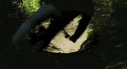 Santa Cruz Fun GIF by Santa Cruz Bicycles