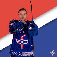 EHCKloten punch eishockey icehockey kloten GIF