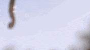 florida keys netflix GIF by Bloodline