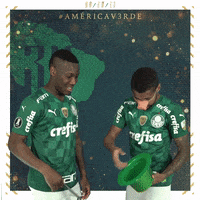 Soccer Futebol GIF by SE Palmeiras