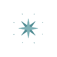 Star Night Sticker