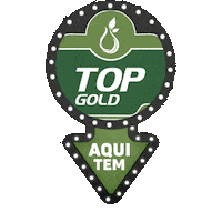 Top Gold Sticker by Grupo Solferti