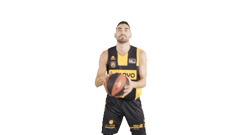 Bouncing Liga Endesa Sticker by ACB